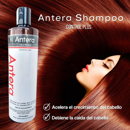 Shampoo Antera